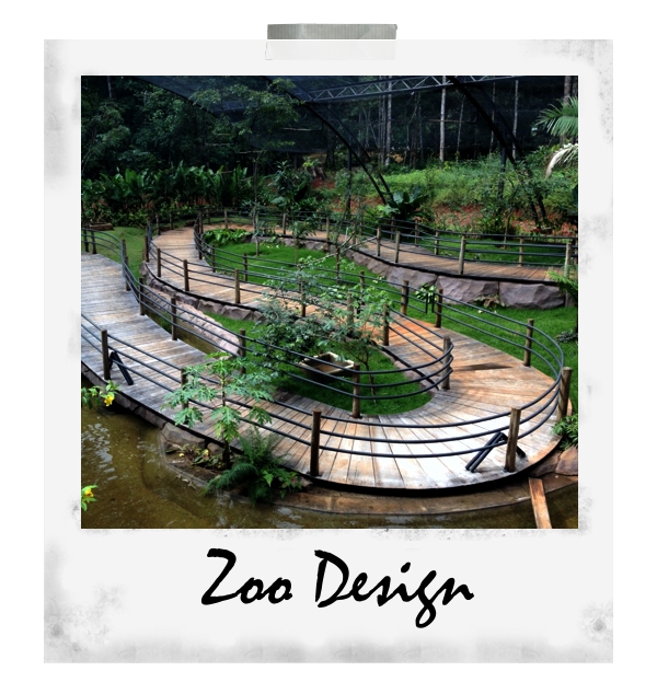Zoodesign4