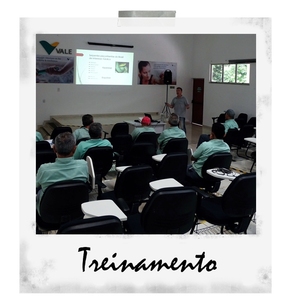 Treinamento